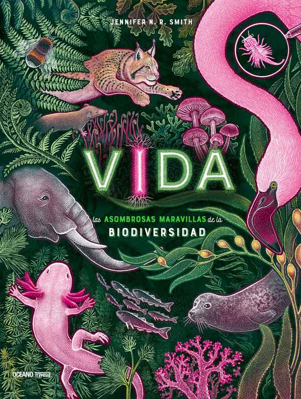 VIDA