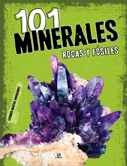 101 MINERALES