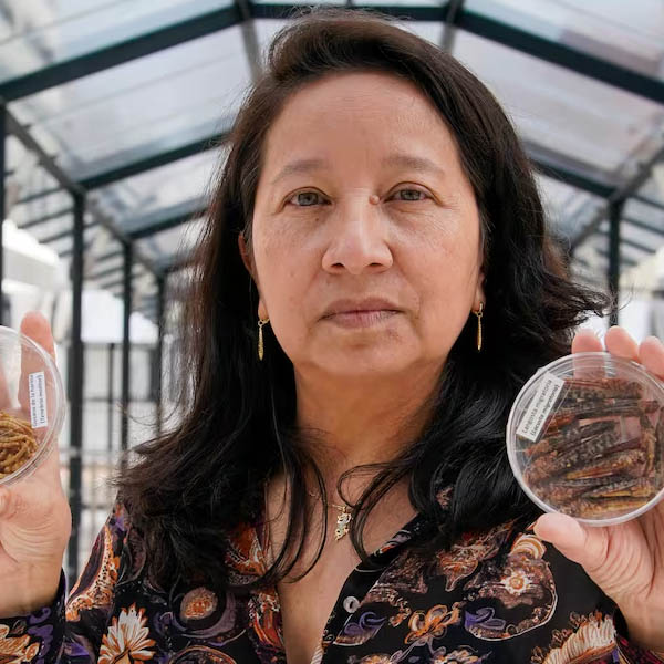 LIGIA ESPERANZA DIAZ
