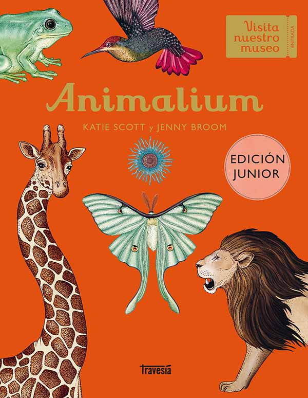 ANIMALIUM (JUNIOR EDITION) 